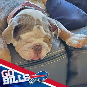 Meet your Posher, Tim